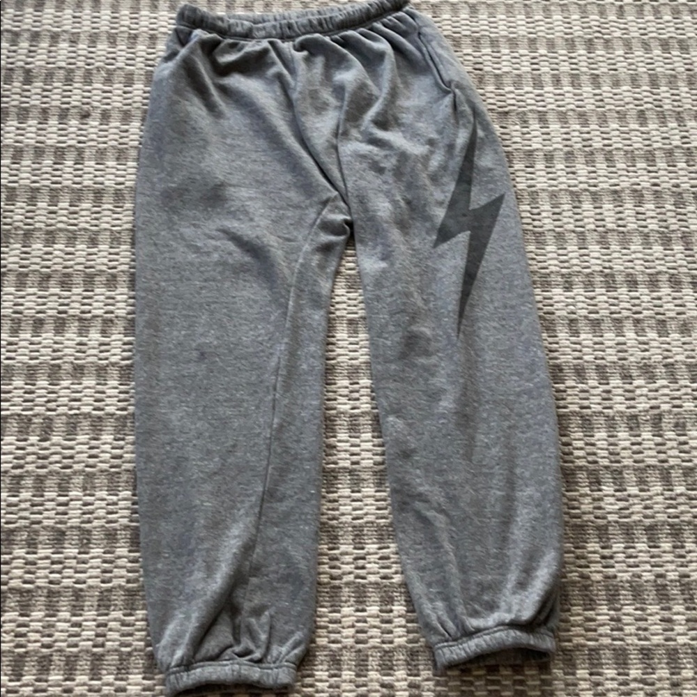 Aviator nation grey sweatpants!